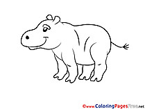 Hippo Colouring Sheet download free