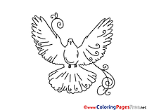 Pigeon Children download Colouring Page