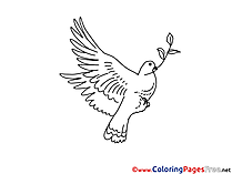 Pigeon with Olive download Colouring Sheet free