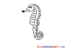 Sea Horse for free Coloring Pages download