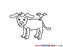 Bird Dog for free Coloring Pages download