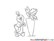 Carrot Bunny Coloring Sheets Easter free