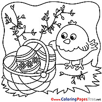 For Kids Easter Chicken Colouring Page