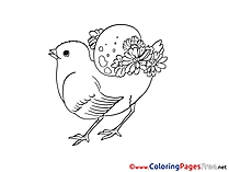 Holiday Chicken free Easter Coloring Sheets