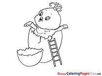 Ladder Chicken Colouring Page Easter free