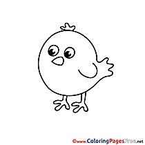 Bird free Colouring Page download
