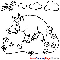 Boar for Kids printable Colouring Page