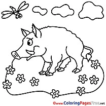 Boar for Kids printable Colouring Page