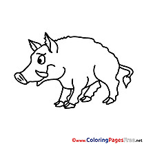 Boar free printable Coloring Sheets