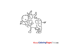 Bull Colouring Sheet download free