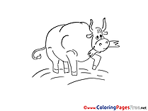Bull Kids free Coloring Page