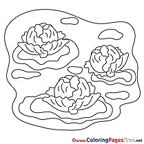 Cabbage free Colouring Page download