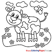 Calf Coloring Sheets download free