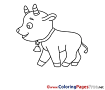 Calf Kids free Coloring Page