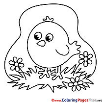 Chicken Children Coloring Pages free