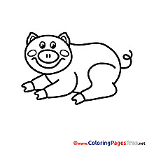 Children download Colouring Page Pig