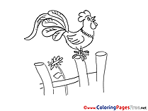 Cock for Kids printable Colouring Page