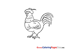 Cock printable Coloring Pages for free