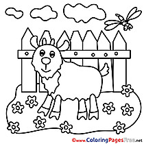 Colouring Sheet download free Goat