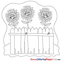 Flowers Coloring Pages for free