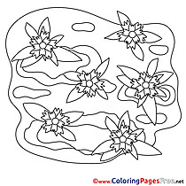 Flowers for Kids printable Colouring Page