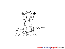 Goatling for Children free Coloring Pages