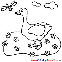 Goose printable Coloring Sheets download