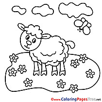 Meadow download Colouring Sheet free