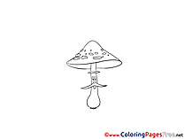 Mushroom Coloring Pages for free