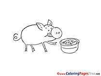 Pig Coloring Sheets download free