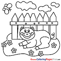 Piggy rest Coloring Sheets download free