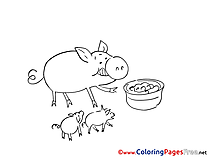 Pigs eating download Coloring Pages