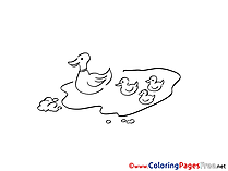 Puddle Canards Kids free Coloring Page
