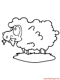 Sheep coloring page for free