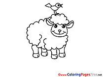 Sheep for Children free Coloring Pages