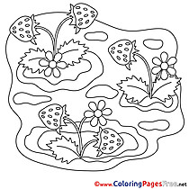 Strawberry printable Coloring Pages for free