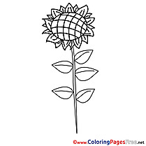 Sunflower Children Coloring Pages free