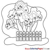 Trees printable Coloring Pages for free