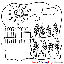 Wheat printable Coloring Sheets download