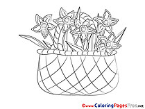 Basket Coloring Pages for free