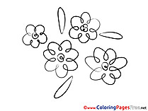 Beautiful Flowers Colouring Sheet download free