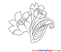 Beautiful Flowers Kids download Coloring Pages