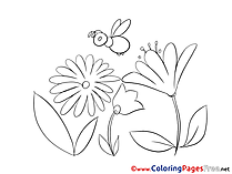 Bee Coloring Pages for free