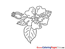 Bud Coloring Sheets download free