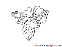Bud Kids download Coloring Pages