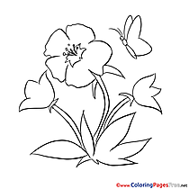 Butterfly Coloring Pages for free