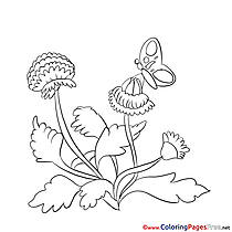 Butterfly printable Coloring Sheets download