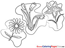 Chamomile Children download Colouring Page