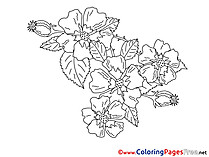 Children Flowers Coloring Pages free