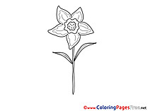 Colouring Sheet Flower download free